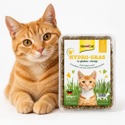 Productafbeelding van GimCat Hydro-Gras - Vers kattenkruid, geteeld onder gecontroleerde omstandigheden, al binnen 5 tot 8 dagen - 1 bakje (1 x 150 gram)