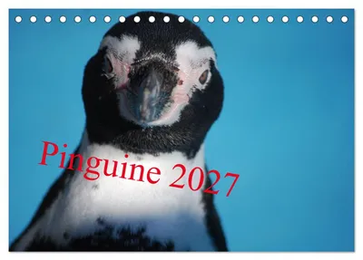 Produktbild von Pinguine 2027 (Tischkalender 2027 DIN A5 quer), CALVENDO Monatskalender