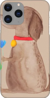 Produktbild von Mr. & Mrs. Panda Iphone 11 Pro Handyhülle Hund Blume - Hundeglück - Geschenk, Sprüche, Hunde, Halsband, Premium Kunststoff, Handy Case, Niedlich