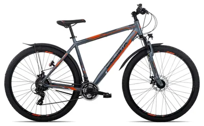 Produktbild von Ciclista Adventure 29 Disc All-Terrain-Bike ab 14 Jahren 29 Zoll Dunkelgrau 43 cm