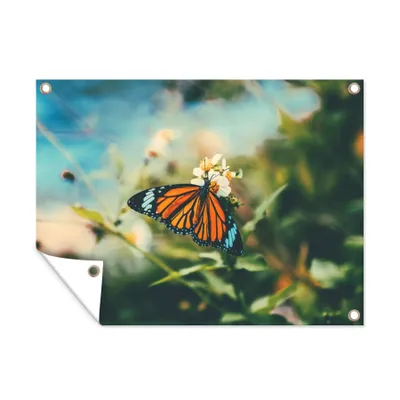 Obrázek produktu pro MuchoWow® Zahradní plakáty - Motýl - Květiny - Zahrada - 30x40 cm - Zahradní dekorace