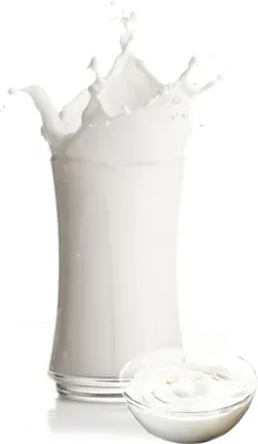 Produktbild von Mascarpone Milchshake Pulver 10 kg