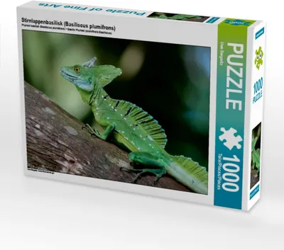 Produktbild von Calvendo Stirnlappenbasilisk (Basiliscus plumifrons) 1000 Teile Puzzle quer 640x480mm, Bergwitz Uwe; 7386867