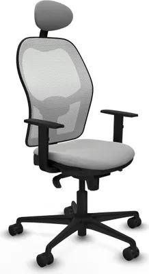 Image de Chaise de bureau Piqueras y Crespo 1D036N1 gris clair
