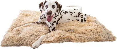 Image de Couverture apaisante pour animaux de compagnie - 76 cm x 102 cm - Taupe - Accessoires pour chiens - Soins pour animaux