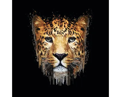 Produktbild von Glasbild Leopard Illustration 30x30 cm