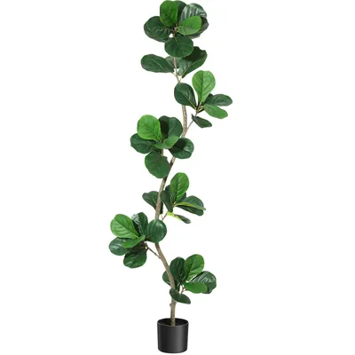 Productafbeelding van Kunstplant Ficus Lirata (180 cm) – Realistische kamerplant voor thuis, kantoor en terras, vereist geen verzorging