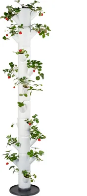 Obrázok produktu pre Gusta Garden SISSI STRAWBERRY Samozavlažovací kvetináč Infinity 10 poschodí, biely