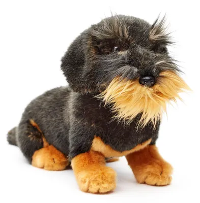 Produktbild von Uni-Toys - Rauhaardackel, sitzend (ohne Leine) - 22 cm (Höhe) - Plüsch-Hund, Dackel, Haustier - Plüschtier, Kuscheltier (Ohne Leine)