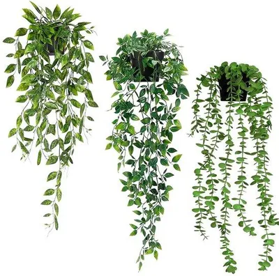 Produktbild von Kunststoff-Eukalyptus-Hängepflanzen 3er-Set