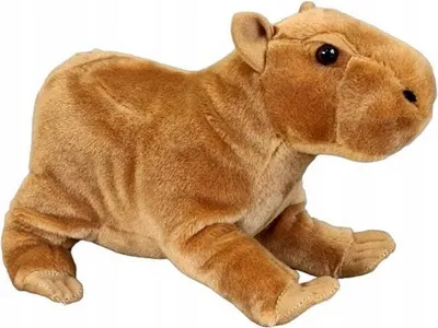 Immagine prodotto di DUBI PLUS Kapibara 25cm 31174