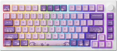 Produktbild von Akko MOD007-HE PC Purple Melody Magnetische Tastatur USB-C, QWERTY US, RGB, Yellow Magnetic Switch