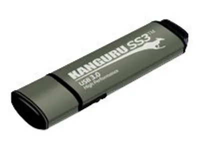 Productafbeelding van iStorage Kanguru 64GB SS3 USB3.0, 64 GB, USB Type-A, 3.2 Gen 1 (3.1 Gen 1), 105 MB/s, Behuizing, Aluminium