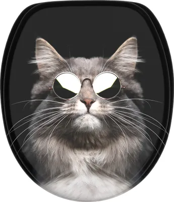 Obrázek produktu pro SANILO® Cool Cat WC sedátko