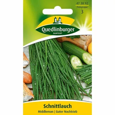 Produktbild von Quedlinburger Saatgut - Schnittlauch Middleman - Samen - 473892