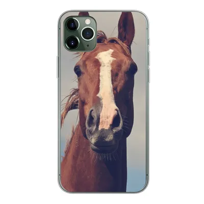 Produktbild von MuchoWow® Handyhülle Schutzhülle Hülle für iPhone 11 Pro Max Pferd - Luft - Blau Silikon Softcase Handy Hülle - Schutz