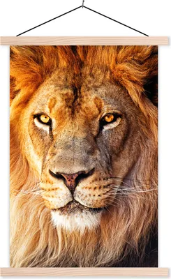 Produktbild von MuchoWow® Textilposter Löwe - Porträt - Farben 120x180 cm mit holzfarbenen Rahmen - Textil-Plakat