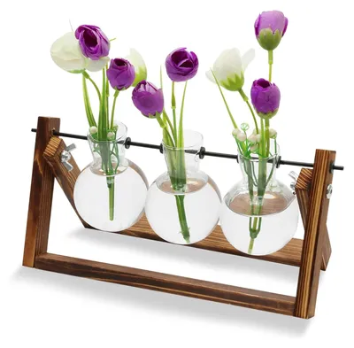 Image de Solidchoice - Vase en verre hydroponique avec support en bois pour la propagation des plantes