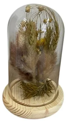 Trockenblumen in Glasglocke, Natur, 11,5x11,5x17 cm