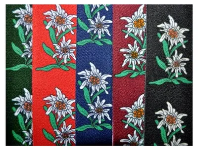Produktbild von Trachten Hosenträger mit Edelweißaufdruck Rot, Grün, Blau, Schwarz AT-100