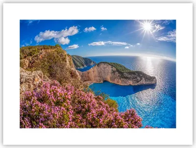 Produktbild von Poster - Poster ohne Rahmen - Meer Sommer Blume - 40x30 cm - Wand Bild - Wanddeko - Wandbilder - Kunstposter - Wandposter - Bilder - Kunstdruck - Wanddekoration - Wandbild - P2XAA40x30-3741