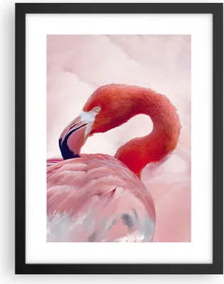 Produktbild von Gerahmtes Poster - Schwarzer Rahmen - Flamingo Vogel Porträt - 30x40 cm - Wand Bild - Wanddeko - Wandbilder - Kunstposter - Wandposter - Bilderrahmen - Bilder - Kunstdruck - P2BPA30x40-4984