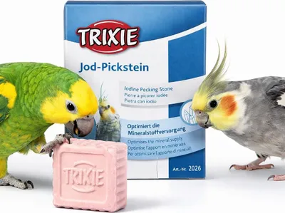 Zdjęcie produktu dla TRIXIE 5105, 90 g, Papuga długoogonowa, Papuga, Pudełko