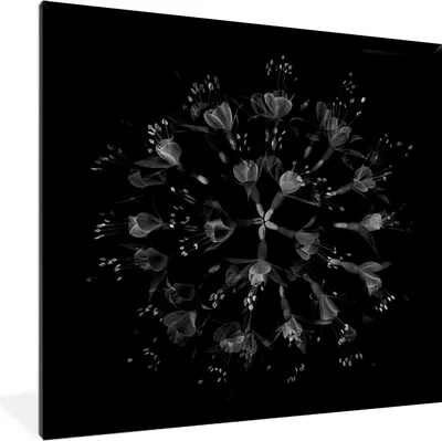 Produktbild von MuchoWow® Gerahmtes Poster Blume - Lila - Blau - Makro - Schwarz 40x40 cm - Poster mit Schwarzem Bilderrahmen Wandposter Rahmen Foto Bilder - Mit Rahmen - Wanddekoration Schlafzimmer