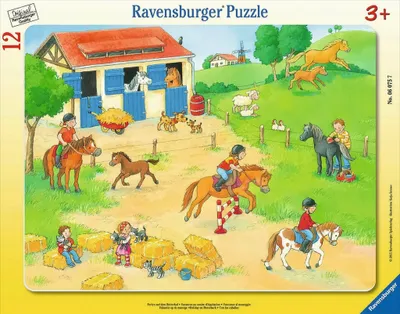 Produktbild von Ferien auf dem Reiterhof, 12 Teile