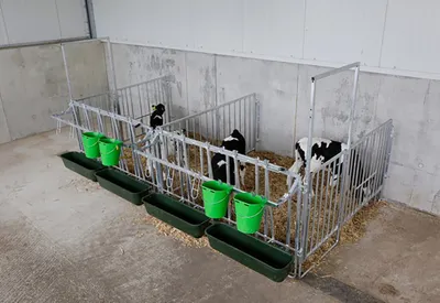 Produktbild von Kerbl Einzelset für 5er-Kälbergruppe mit Wandbefestigung
