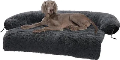 Image de Lit pour chien - Lit pour chien de taille moyenne - Peluche - Coussin en mousse - Chiens de taille moyenne - Protection des meubles - Lavable en machine - Gris