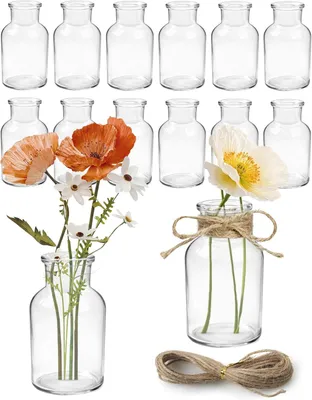 Produktbild von Glasvasen 125 ml, 12er Set, 5 m Juteband, spülmaschinenfest, Tischdekoration