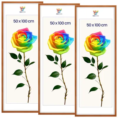 Obrázek produktu pro MG Design, sada 3 kusů rámů na obrázky, lakované, rozměr 50x100 cm - rámy na plakáty z masivního dřeva s akrylovým sklem, zesílené upevnění na zeď, možnost vertikálního i horizontálního zavěšení