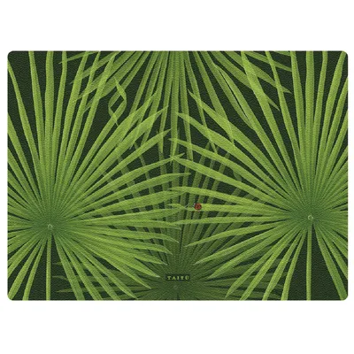 Produktbild von Taitù - Nature - Platzset 45 x 33 cm