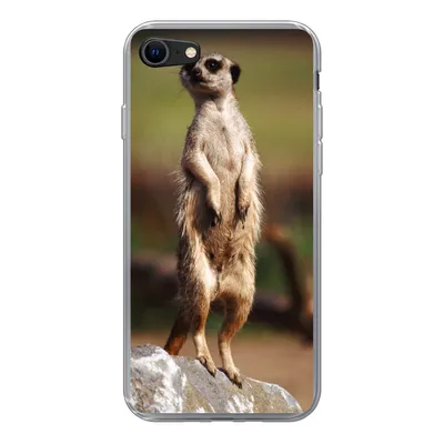 Produktbild von MuchoWow® Handyhülle Schutzhülle Hülle für iPhone 8 Erdmännchen - Tier - Spiel Silikon Softcase Handy Hülle - Schutzhaube