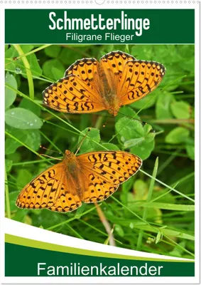 Produktbild von Schmetterlinge: Filigrane Flieger / Familienkalender (Wandkalender 2025 DIN A2 hoch), CALVENDO Monatskalender