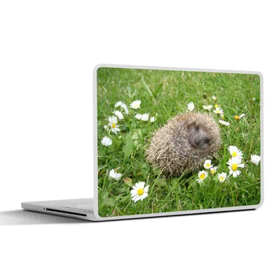 Produktbild von MuchoWow® Laptop Aufkleber Sticker Cover Schlafender Igel 31x22.5 cm - Laptop-Deko