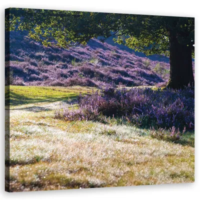 Produktbild von Leinwandbild landschaften - violett 40x40 cm Feeby lila wandbild bereit zum aufhängen