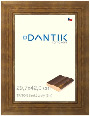 Obrázek produktu pro DANTIK rámeček 29,7x42 | TRITON široký zlatý (Plexi Čiré)