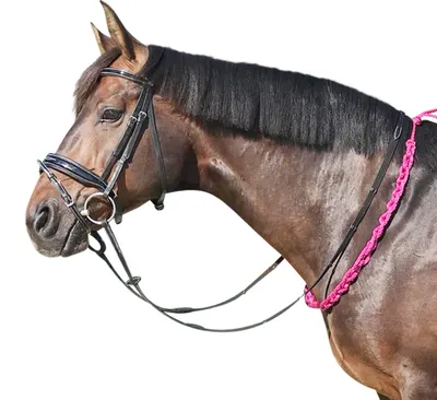 Produktbild von EQuest Beginner-Balancezügel in verschiedenen Farben, Farbe:black, Größe:L 140 cm