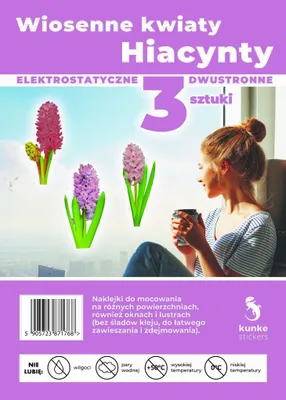 Produktbild von Frühlingsblumen Hyazinthen, 3 Stück – Kunke