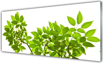 Produktbild von Acrylglasbilder 125x50 Wandbild Druck Zweige Blätter Pflanzen