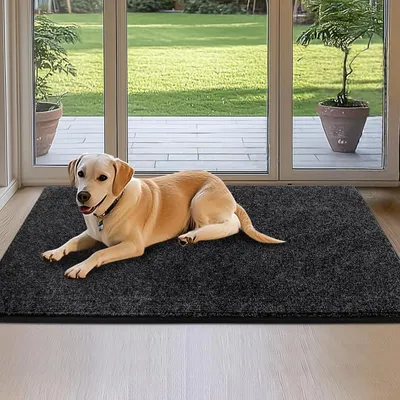 Immagine prodotto di Tappetino antiscivolo interno, 80 x 120 cm, colore antracite, lavabile