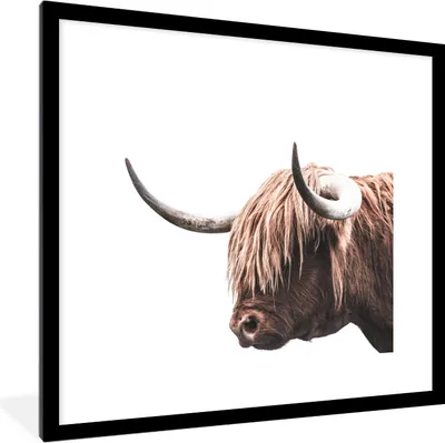 Produktbild von MuchoWow® MuchoWow® Gerahmtes Poster Schottisches Hochlandrind - Hörner 40x40 cm - Poster mit zchwarzem Bilderrahmen - Poster - Plakat im Rahmen