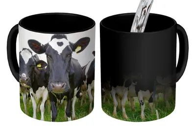 Obrázok produktu pre KitchenYeah® Magický hrnček Magický hrnček Magické kravy - tráva - jar - zvieratá - lúka - farma 350 ml Hrnček na zmenu farby Darčekový nápad na darček - Magický hrnček - fotohrnček - keramické hrnčeky - obrázky - hrnček