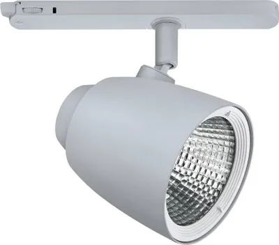 Produktbild von Eglo 67223 ARBERI LED Leuchtspot 40W 40° Ø120mm Silber Neutralweiss Dimmbar