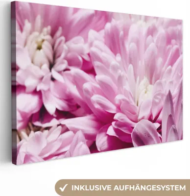 Produktbild von MuchoWow® - Leinwandbilder - Blumen - Rosa - Natur, Wandbild, Wanddeko Bilder Wohnzimmer, 60x40 cm