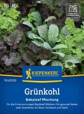 Artikelbild 2 von 'Grünkohl Babyleaf Mischung' aus der Kategorie Grünkohlsamen