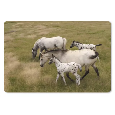 Produktbild von MuchoWow® Mauspad Mousepad Pferde - Fohlen - Tiere 27x18 cm - Mousepads - Maus Mat - Pad - Mausunterlage - Büroartikel - Desk Matten