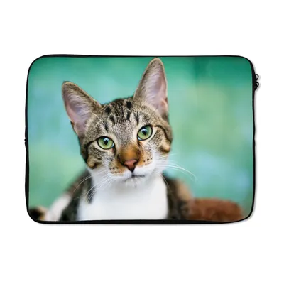Produktbild von MuchoWow® Laptop Hülle 14 ZollKatze - Porträt - Augen Laptoptasche - Laptoptasche - Stoßsicher - Schutzhaube